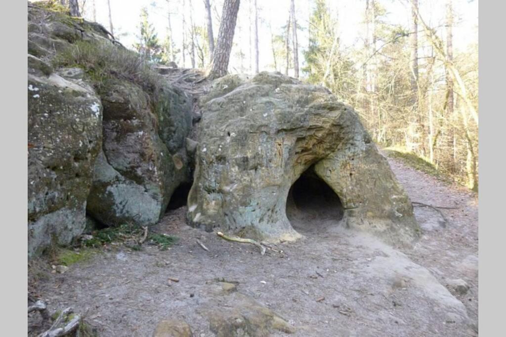 Le Repaire Des Belettes Vallee De Rabais Virton Kültér fotó