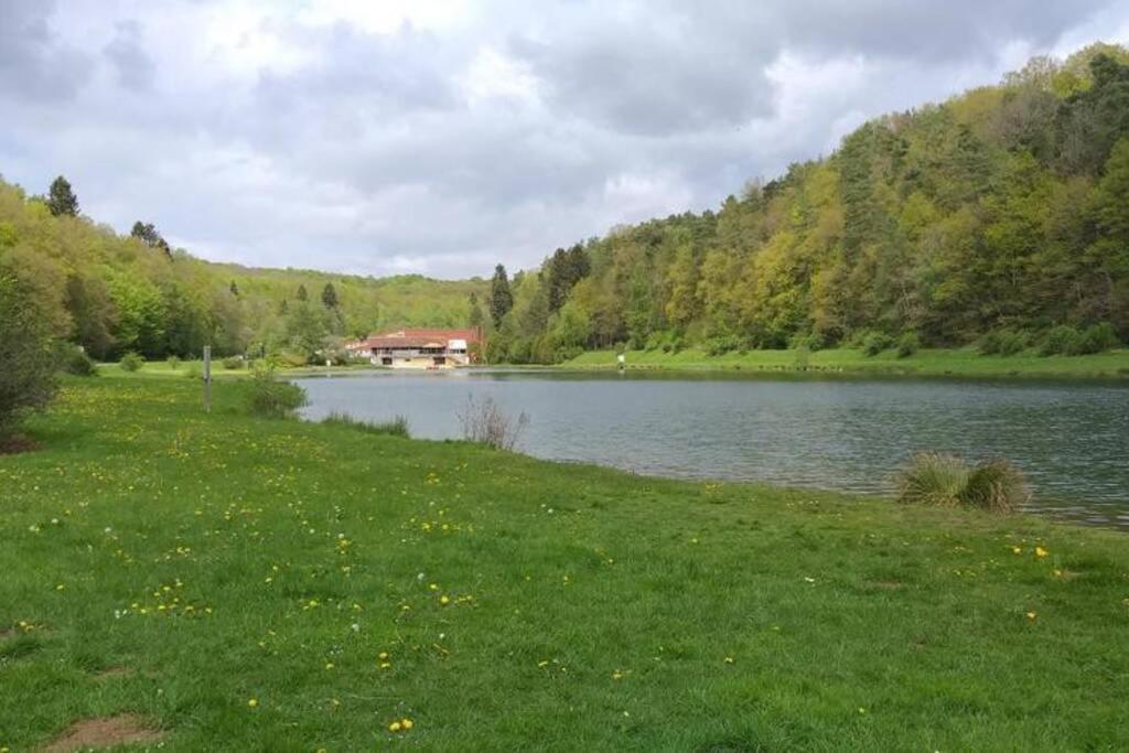Le Repaire Des Belettes Vallee De Rabais Virton Kültér fotó